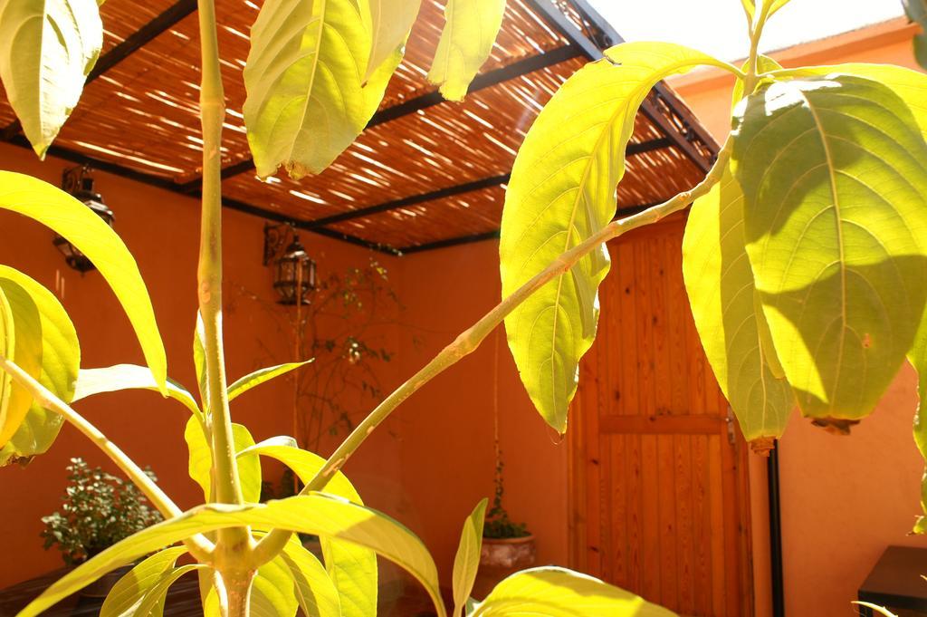 Maison D'Hotes Dar El Nath Ouarzazate Eksteriør billede